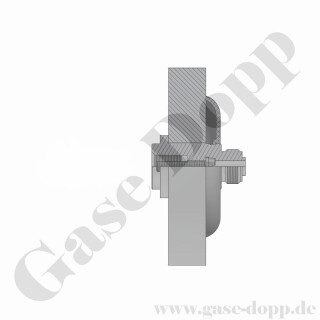 Rückwandeinbau Adapter komplett für Labor Entnahmedruckminderer - für 20 mm Wandstärke - In 1/4" NPT IG / OUT G 3/8" AG - Edelstahl - GCE DRUVA EMD3100 PLCIV