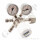 Flaschendruckminderer Helium 300 bar 1-stufig bis 10 bar regelbar - Anschluss W30x2" DIN 477-5 Nr.54 - Ausgang 1/4" KRV - Messing vernickelt 6.0 - GASARC SPEC MASTER HPS600