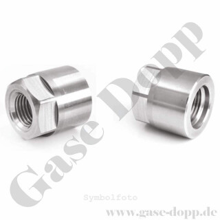 Filling Adaptor 1/4" NPT F-C10 F-SS 705